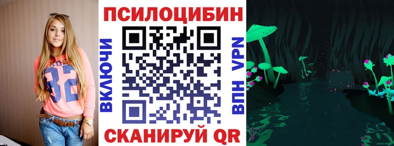 продажа наркотиков  Кувшиново  kraken рабочий сайт  Псилоцибиновые грибы Magic Shrooms 