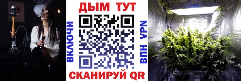 Марихуана индика  даркнет сайт  Кувшиново 